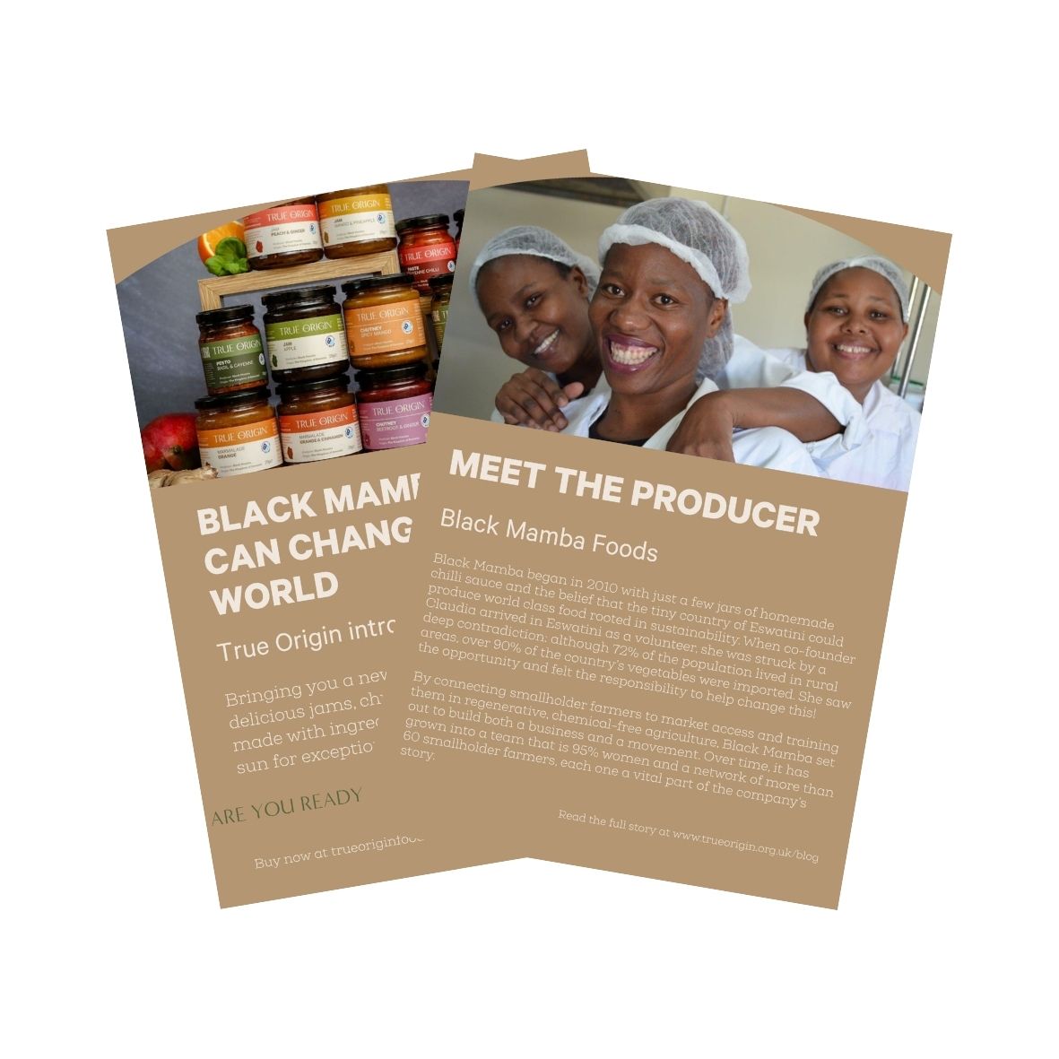 Black Mamba – Meet the Producer Leaflet