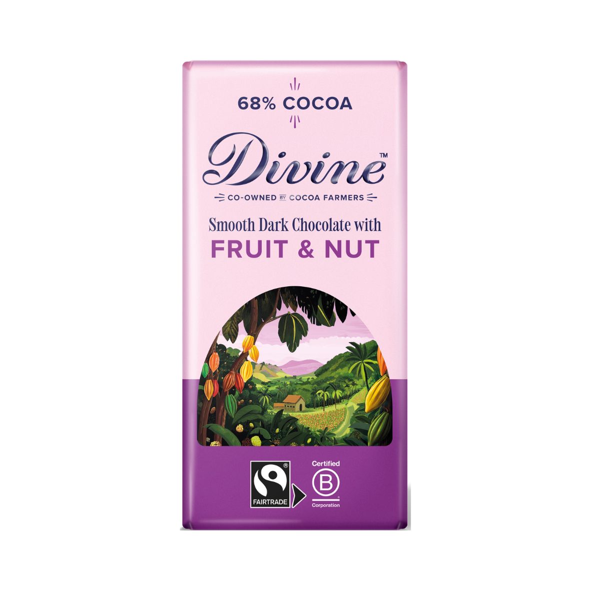 Dark Chocolate with Fruit and Nut (90g)