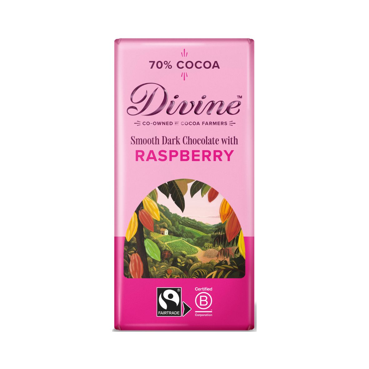 Dark Chocolate with Raspberries (90g)