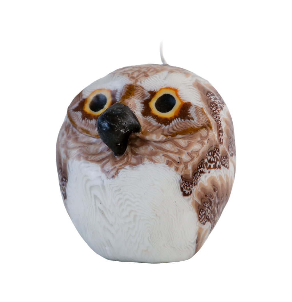 Owl Candle (1 candle)