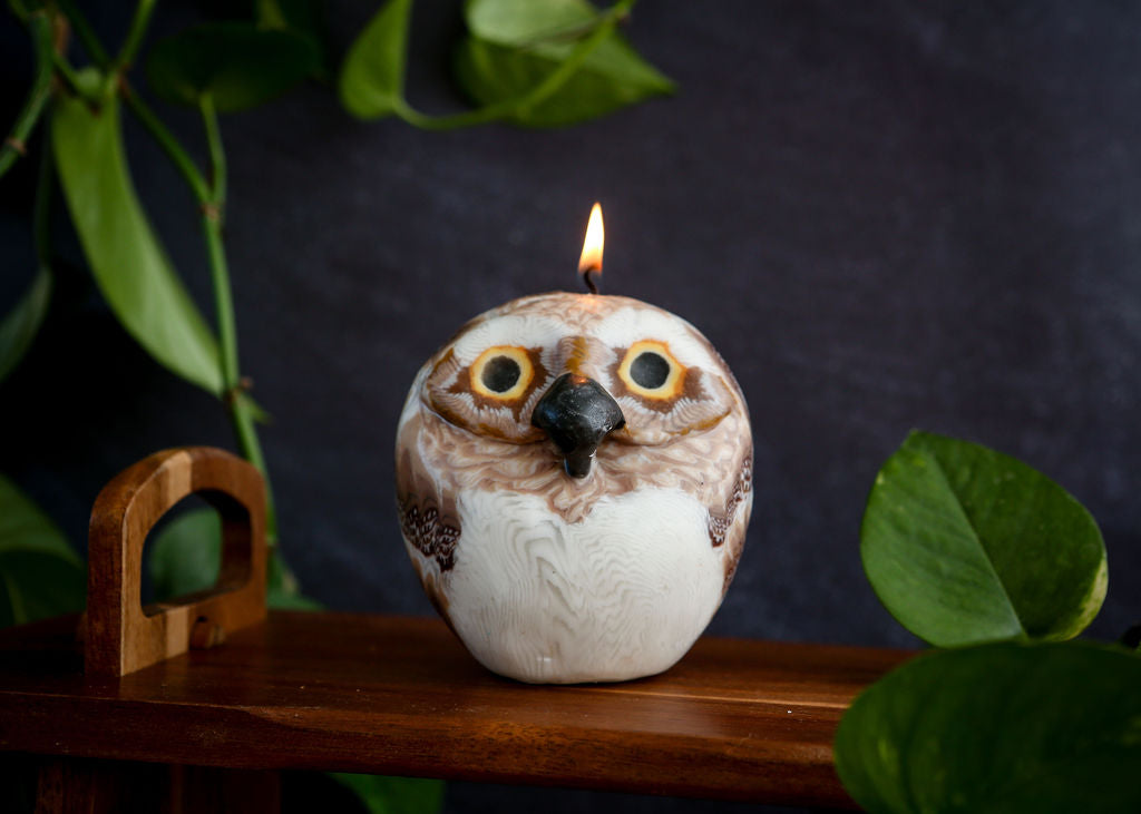 Owl Candle (1 candle)