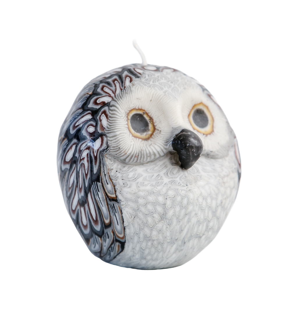 Owl Candle (1 candle)
