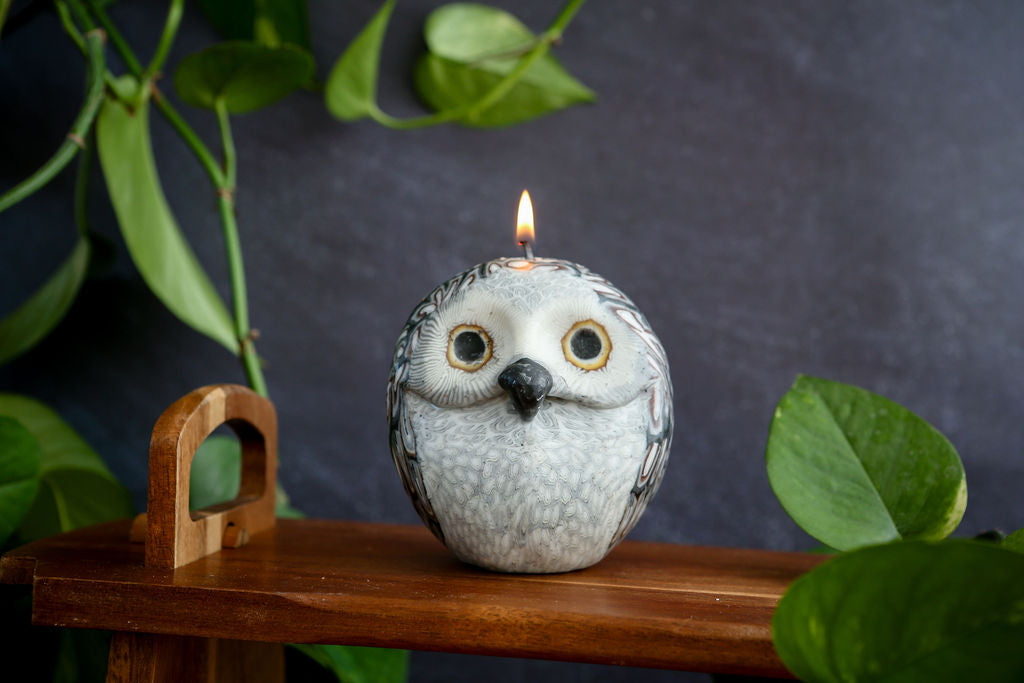 Owl Candle (1 candle)