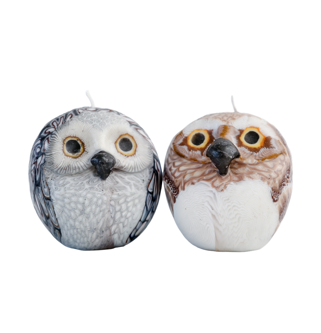 Owl Candle (1 candle)