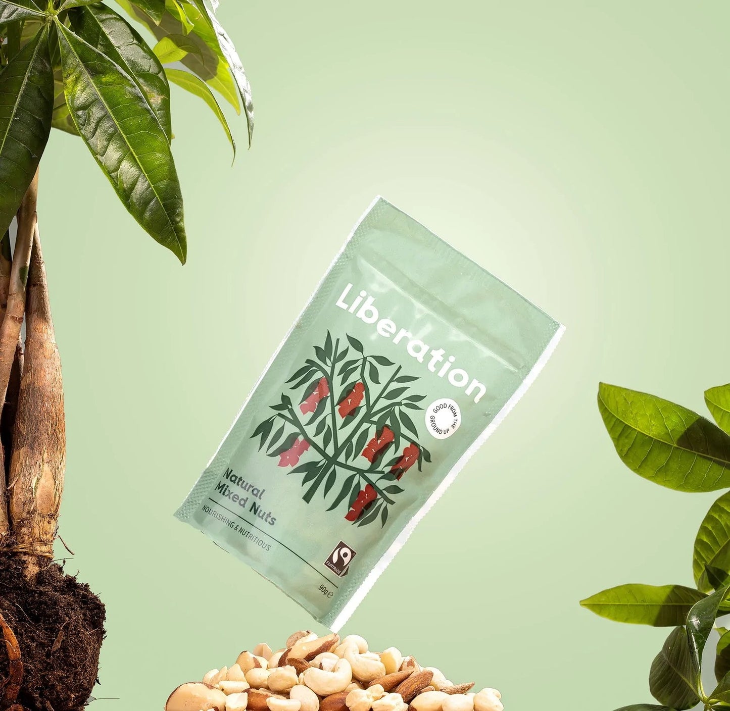 Natural Mixed Nuts 90g