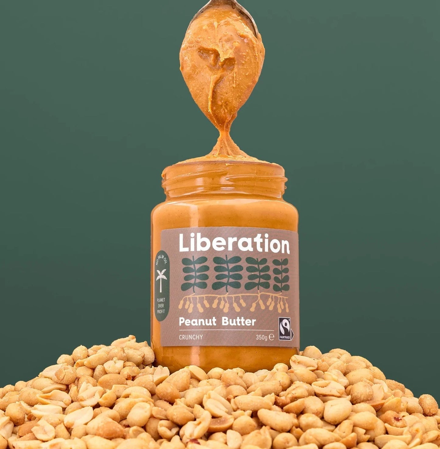 Crunchy Peanut Butter (350g)